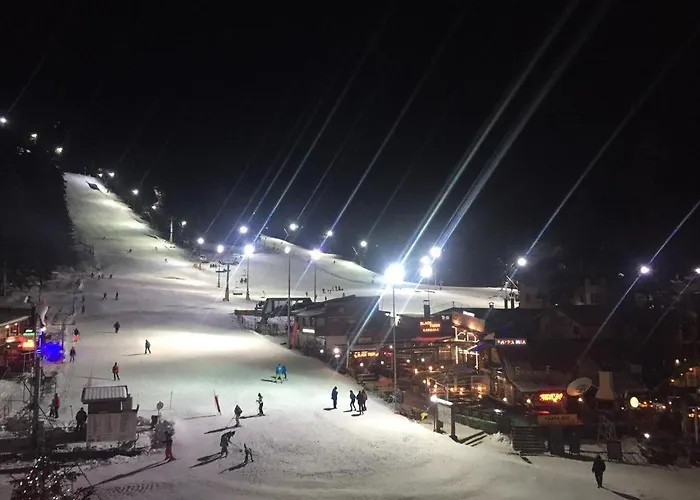 Royal Plaza - A405 Borowec